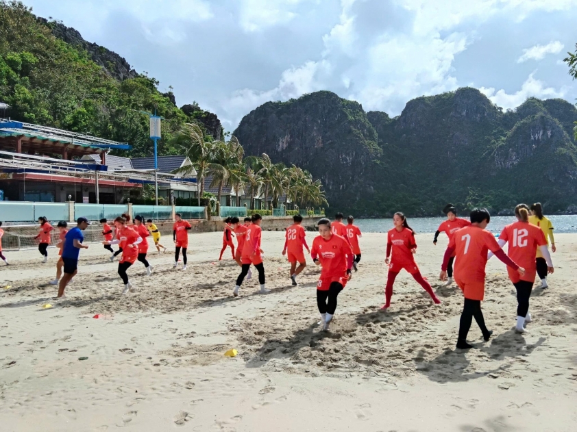 Quy trình tập luyện